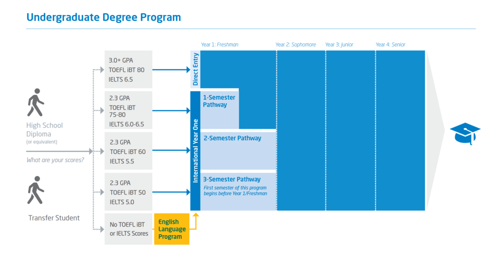 Undergrad Chart